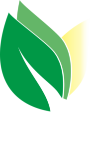 logo-bez-teksta